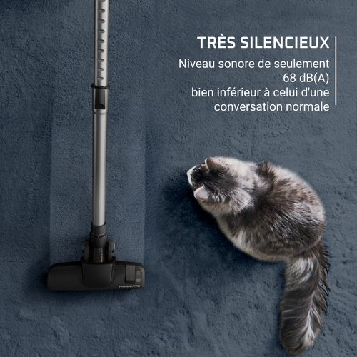 Aspirateur traîneau ROWENTA RO7C36EA sans sac Noir