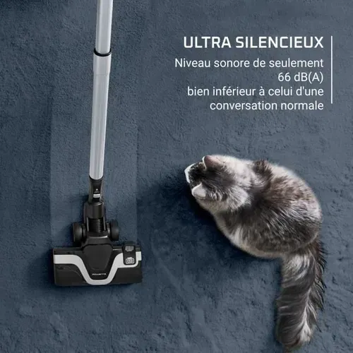 Rowenta Green Force Cyclonic Effitech+ Aspirateur Sans Sac, Bac 2,5 L, Silencieux