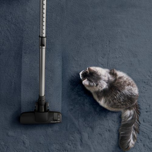 Aspirateur sans sac ROWENTA RO7C19EA