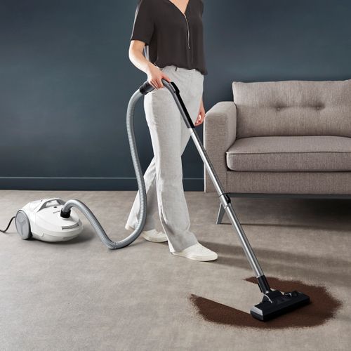 Aspirateur Traîneau Avec Sac Rowenta Ro3967ea