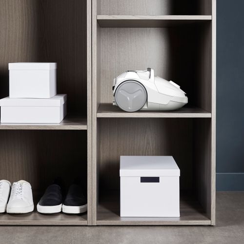 Aspirateur Traîneau Avec Sac Rowenta Ro3967ea