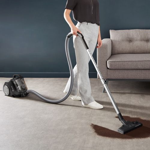 Aspirateur Sans Sac Rowenta Ro2985ea