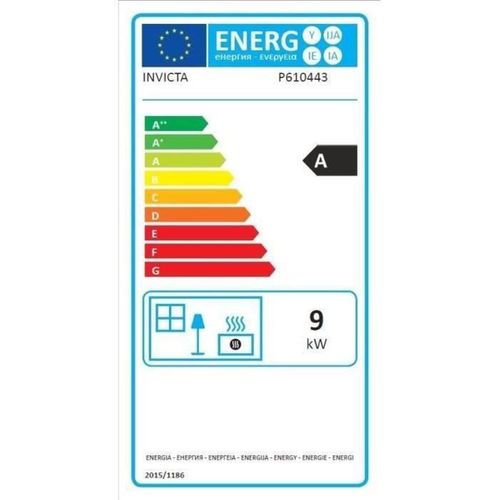 Poêle à Bois En Fonte 9 Kw Anthracite à Grand Angle, 4 Pieds