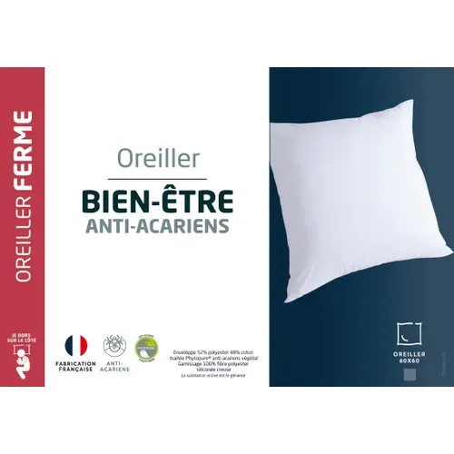 Oreiller ferme 60x60 cm DREAMEA BIEN-ETRE FERME