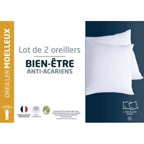 Lot 2 oreillers 60x60 cm DREAMEA BIEN-ETRE MOELLEUX