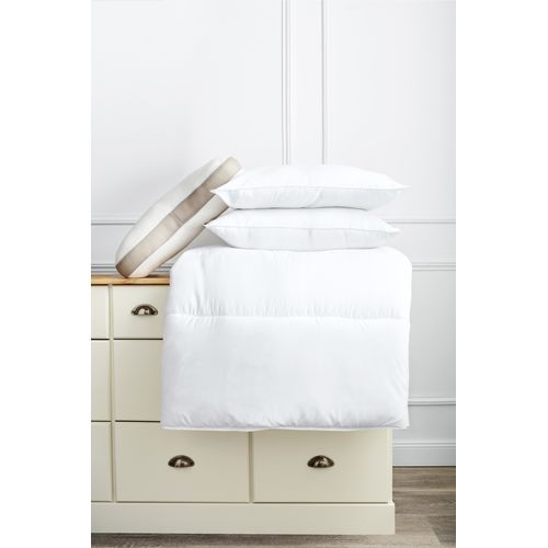 Lot 2 oreillers ferme 60x60 cm DREAMEA BIEN-ETRE FERME