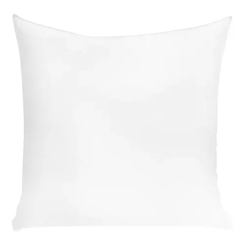 Lot 2 oreillers ferme 60x60 cm DREAMEA BIEN-ETRE FERME