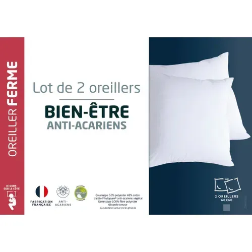 Lot 2 oreillers ferme 60x60 cm DREAMEA BIEN-ETRE FERME