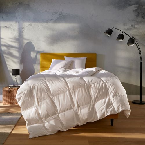 Couette tempérée 240x220cm NUIT FAUBOURG LUTETIA