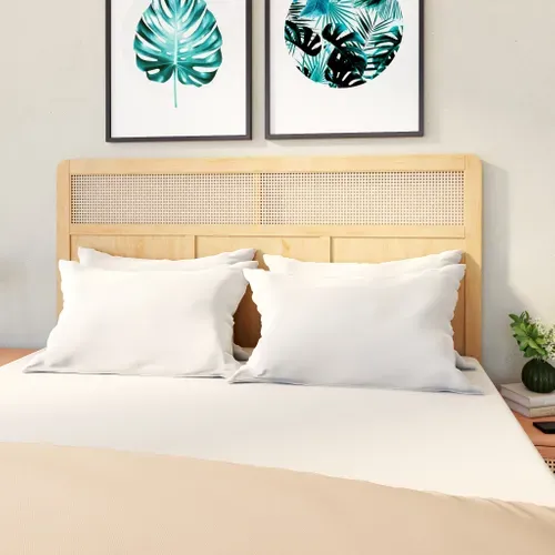 Oreillers 45x70 cm DREAMEA EDITION NEW COTON BIO vue d'ambiance 1