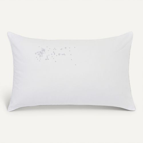 Oreillers 45x70 cm DREAMEA EDITION NEW COTON BIO vue de face