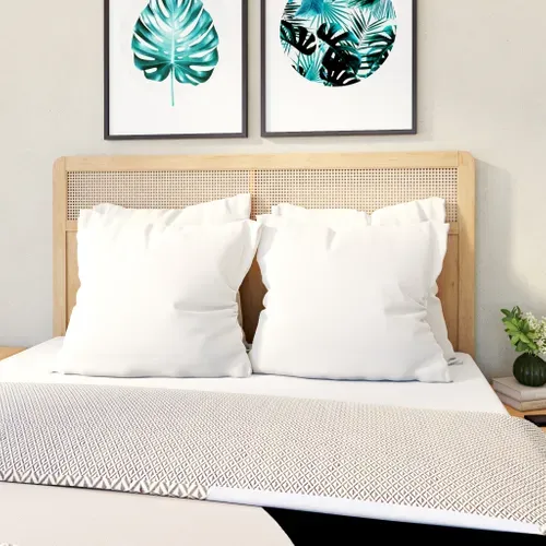 Oreillers 60x60 cm DREAMEA EDITION NEW COTON BIO vue d'ambiance 1