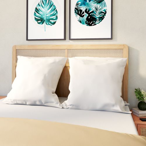 Lot de 2 oreillers 60x60 cm DREAMEA EDITION NEW COTON BIO