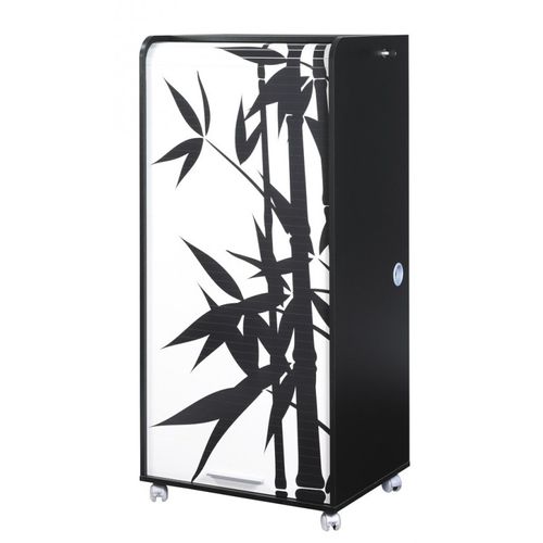 Armoire Informatique Mobile Noire 2 Tiroirs 5 Niches - Coloris: Bambous 912