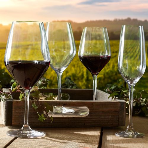 Lot 6 flûtes à champagne 19cl ZENITH Transparent