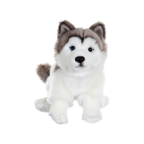MORBIDELLI HUSKY LAIKA H20CM - Bimbomania SRL