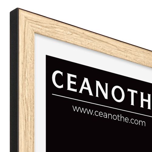 Cadre Photo Newton Bois Noir 60x80 Cm Noir Résine Recyclée