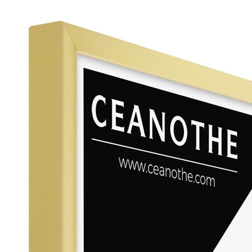 Cadre Photo Precious Doré 50x70 Cm Doré Résine Recyclée