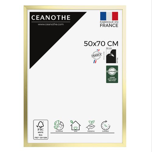 Cadre Photo Precious Doré 50x70 Cm Doré Résine Recyclée