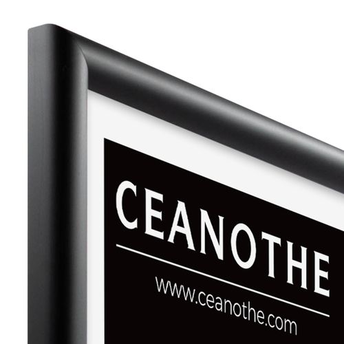 Cadre Photo Essentiel Exposition Noir 40x60 Cm Noir Bois Massif Fsc