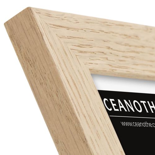 Cadre Photo  Tara 10x15 Cm Bois Brut Chêne