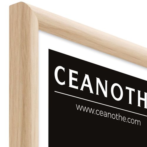 Cadre Photo Essentiel Exposition Brut 20x30 Cm  Bois Clair Naturel Bois Massif Fsc