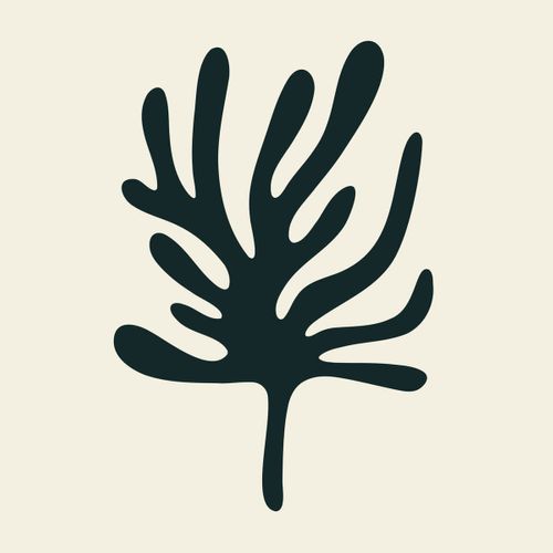 Tableau Sur Toile Fleur Végétale 65x65 Cm