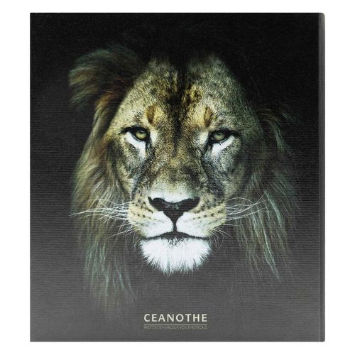 Album Photo Pochette Lion 200 Photos 10x15 Cm