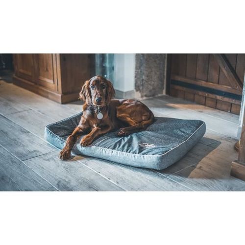 Matelas Rectangulaire Pour Chien Grand/moyen - Ouatiné Dense - Taille L - 80x60x7cm