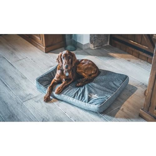 Matelas Rectangulaire Pour Chien Grand/moyen - Ouatiné Dense - Taille L - 80x60x7cm