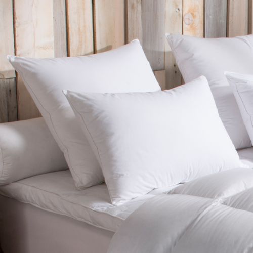 Oreiller 90% Duvet D'oie Moelleux 60 X 60 Cm Blanc