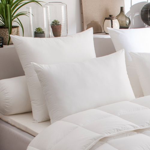 Oreiller Acarina Anti-acariens Medium 60 X 60 Cm Blanc
