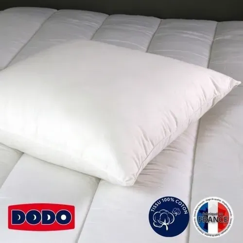Oreiller Carré 60 X 60 Cm – Moelleux, Déhoussable, Housse 100% Coton