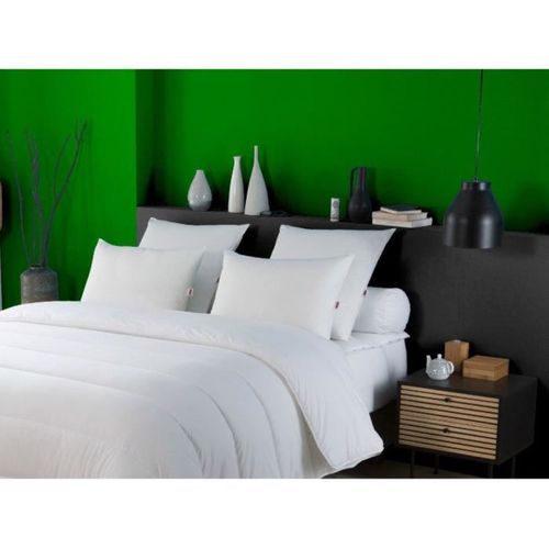Oreiller Anti-acariens 50x70 Cm - 100% Polyester - Confort Moelleux