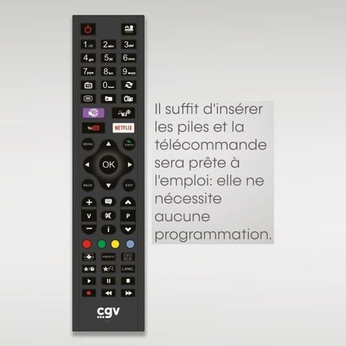 Télécommande Pour Récepteur TNT De Marque CGV - Modèle Sans HD - Occasion Fonctionnelle