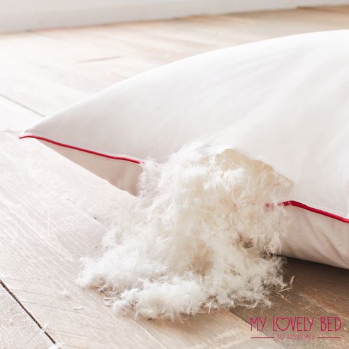 Oreiller 60x60 Cm Naturel - Garnissage Plume Et Duvet - Enveloppe 100% Coton - Gonflant Et Moelleux