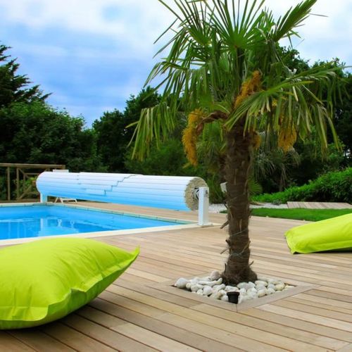 Grand Rénovateur Sur Pied 300 W - 1600–3000 Tr/min Avec 3 Types De Brosses