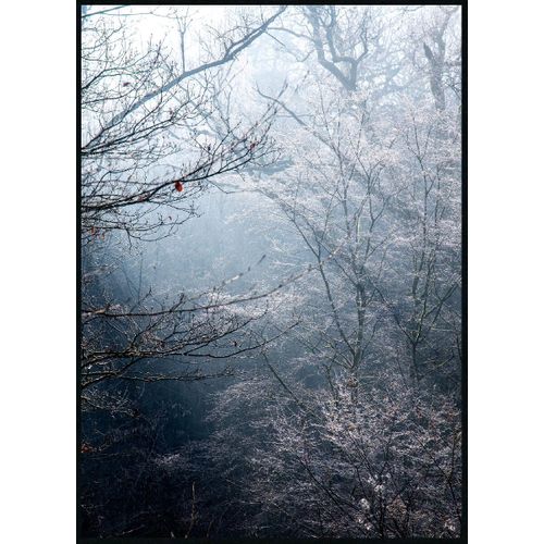 Toile 50x70 cm FORET Lario noir vue de face