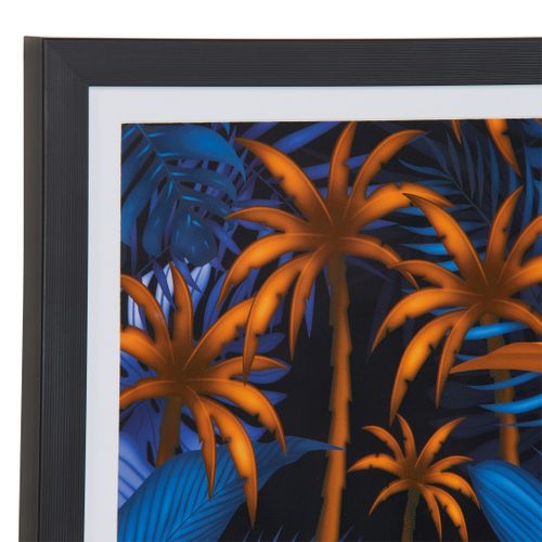 Image encadrée 30x40 cm VEGETAL Noir