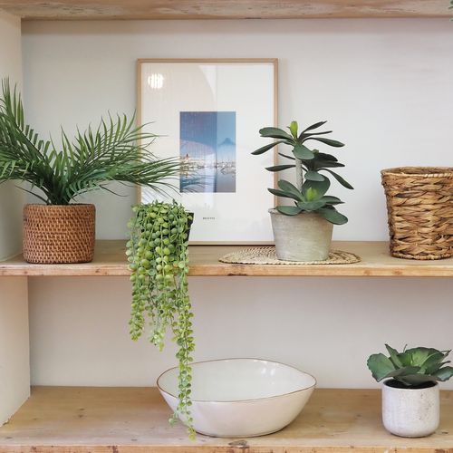 Plante Succulente Retombante Artificielle 40cm