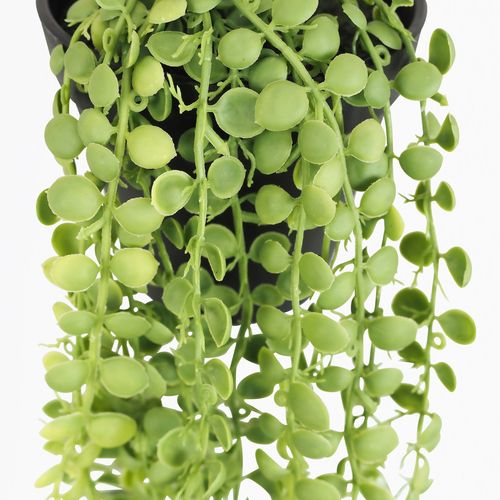 Plante Succulente Retombante Artificielle 40cm