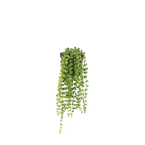 Plante Succulente Retombante Artificielle 40cm