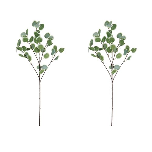 Eucalyptus Artificiel En Tige 92cm Effet Blanchi Lot De 2