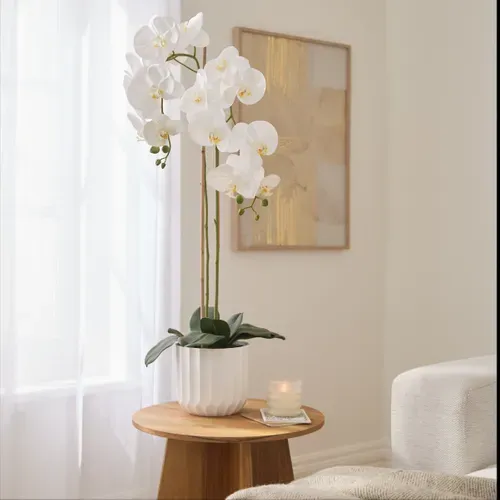 Orchidée H. 100 cm SARAH Blanc vue d'ambiance 1