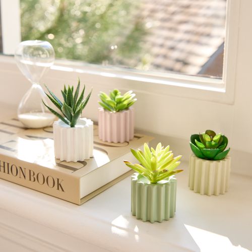Succulente H. 6,5 cm ZOE Divers modèles vue d'ambiance 1