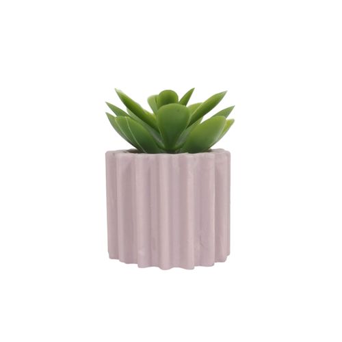 Succulente H. 6,5 cm ZOE Divers modèles