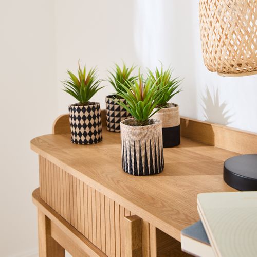 Succulent graphique H16  Vert vue d'ambiance 1