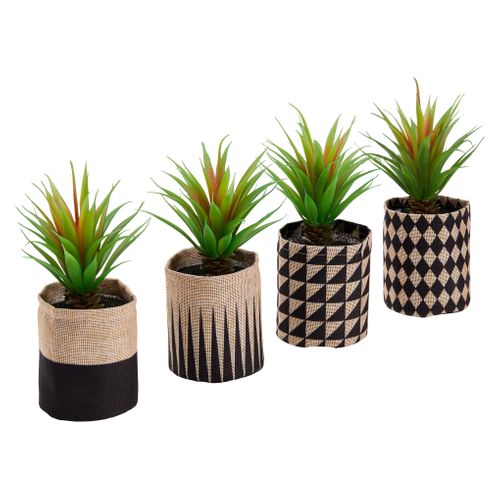 Succulent graphique H16  Vert vue 3/4