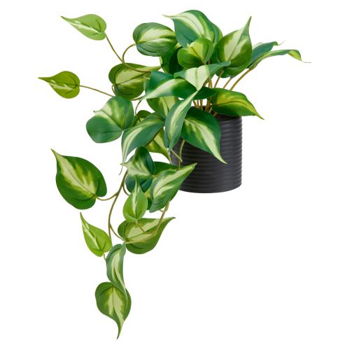 Pothos pot céramique H23 - Vert vue 3/4