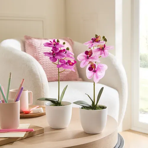 Orchidée pot blanc ASS Multicouleur vue d'ambiance 1